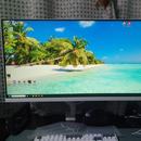 TFG40Q14WP IPS 게이밍 144Hz 울트라와이드