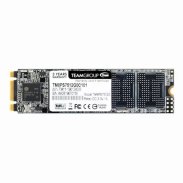 TeamGroup MS30 M.2 SATA 256GB