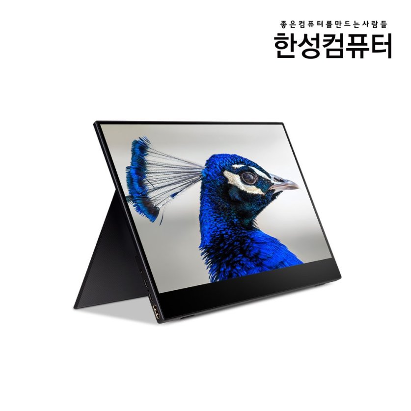 [리퍼]TFX133T DEX 포터블 HDR 멀티터치